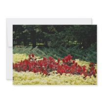 Flowers at the entrance of botanical garden, Quebe Personalized Invites
