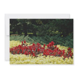 Flowers at the entrance of botanical garden, Quebe Personalized Invites