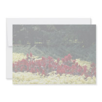 Flowers at the entrance of botanical garden, Quebe Invites