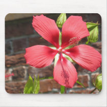 Flowers at Tryon Palace Mousepad