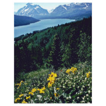 Flowers At Two Medicine Lake - Glacier National Pa Flyer