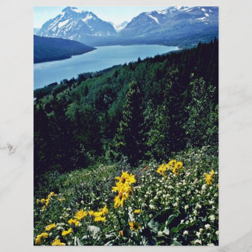 Flowers At Two Medicine Lake - Glacier National Pa Flyer