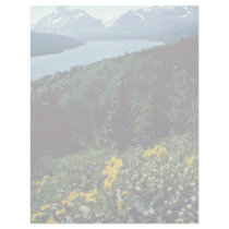 Flowers At Two Medicine Lake - Glacier National Pa Letterhead