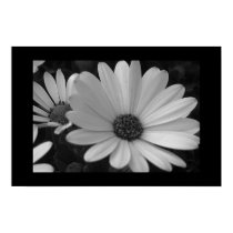 Flowers B&W posters