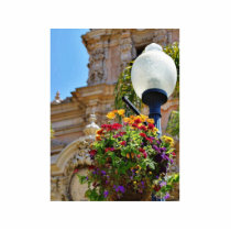 Flowers Balboa Parks photo sculptures by lifesphere Flowers Balboa Parks photo sculptures