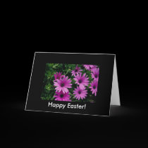 Flowers Beautiful  Purple Petals cards