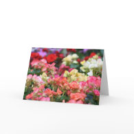 Flowers Bloom in Ginza card