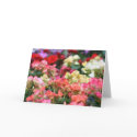 Flowers Bloom in Ginza cards by kgallo Flowers Bloom in Ginza cards