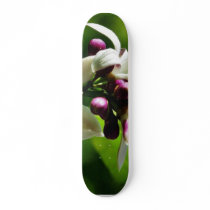 Flowers Blossoms skateboards