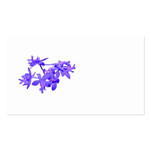 Flowers Blue Tinted Ground Orchid Business Card Template (back side)