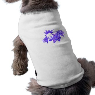 Flowers Blue Tinted Ground Orchid petshirt