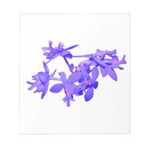 Flowers Blue Tinted Ground Orchid Note Pad