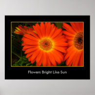 Flowers Bright  Like Sun Poster