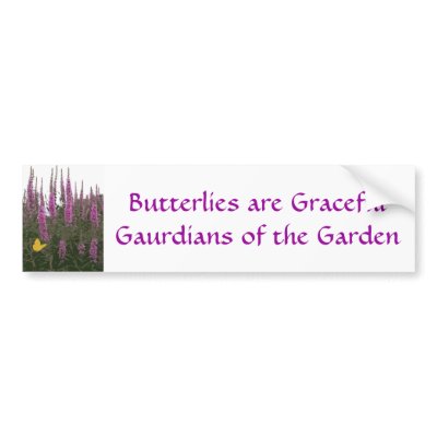 Flowers & Butterfly Bumper Sticker by Priscilla48