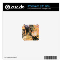 Flowers by Lovis Corinth Decal For The iPod Nano