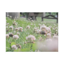Flowers by the Lake Original Photography on Canvas canvas prints