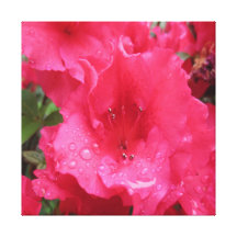flowers canvas print