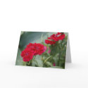 Flowers cards