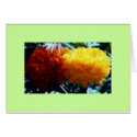 flowers cards