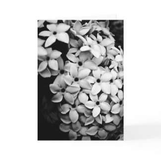 Flowers card