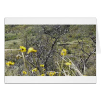 Flowers Greeting Card
