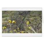 Flowers cards