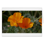 Flowers cards