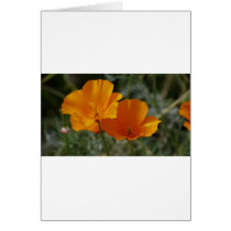 Flowers Greeting Card