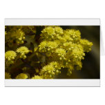 Flowers cards