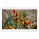 Flowers cards
