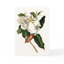 Flowers cards