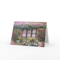 Flowers Cards