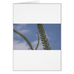 Flowers cards