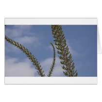 Flowers Greeting Card