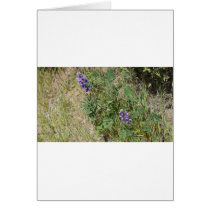 Flowers Card