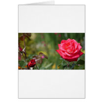 Flowers Greeting Card