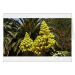 Flowers cards