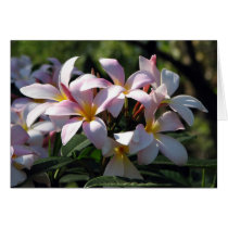 Flowers cards
