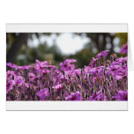 Flowers cards