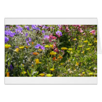 Flowers Cards