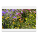Flowers cards