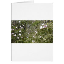 Flowers Card
