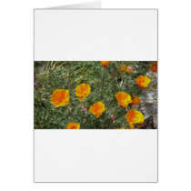 Flowers Greeting Cards