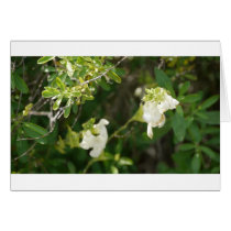 Flowers Greeting Card