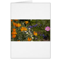 Flowers Cards