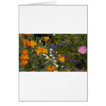 Flowers cards