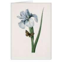 Flowers cards