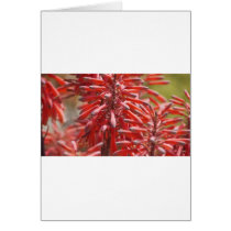 Flowers Greeting Cards