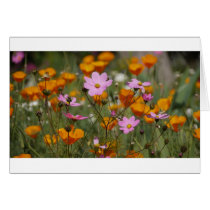 Flowers Greeting Cards