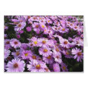Flowers cards by deadhead Flowers cards